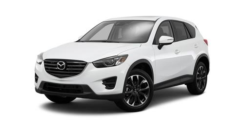 Sport Utility