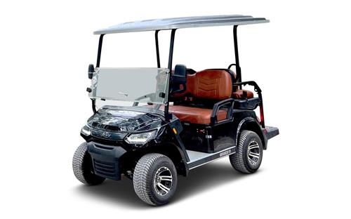 Golf Cart (Lithium)