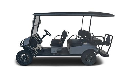 Golf Cart EZGO (Gas)